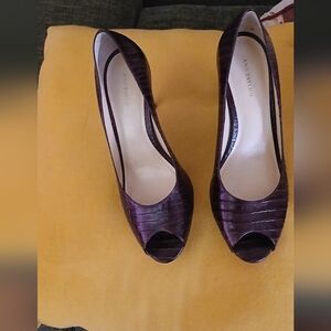 Ann Taylor Brown Croc Embossed Heels Size 9